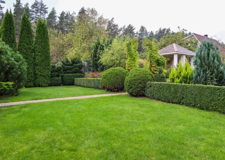 Bhatia Group, Meadows 1, Dubai