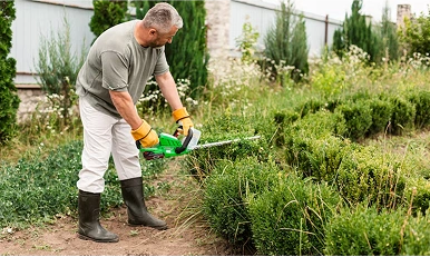 Landscape Design and Maintenance