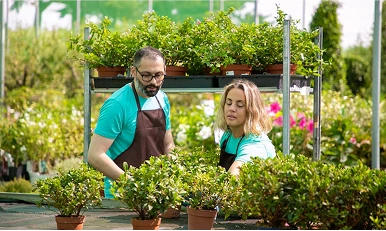 Professional Gardening Services