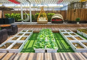 Landscaping Design and Construction