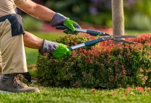 Landscape Maintenance